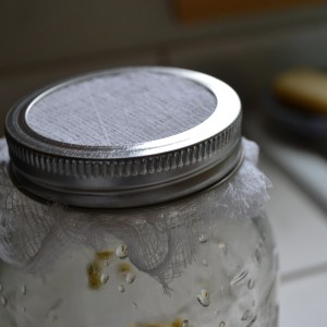 Cover with cheese cloth and secure (using jar lid, not recommended)
